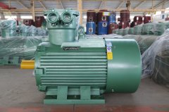 氣體防爆電機(jī)ExdIIBT4Gb的是什么意思？